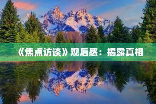 《焦点访谈》观后感：揭露真相，呼唤责任