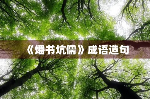 《燔书坑儒》成语造句