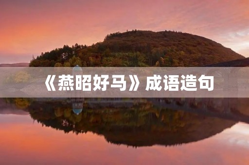 《燕昭好马》成语造句