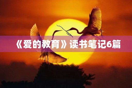 《爱的教育》读书笔记6篇