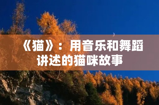《猫》：用音乐和舞蹈讲述的猫咪故事