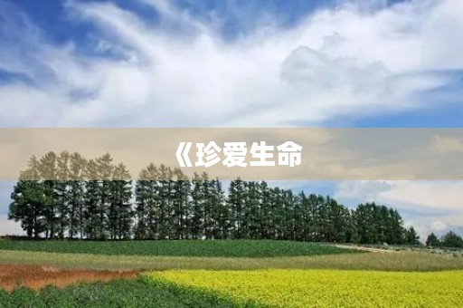 《珍爱生命,拒绝毒品》 《珍爱生命,拒绝毒品》