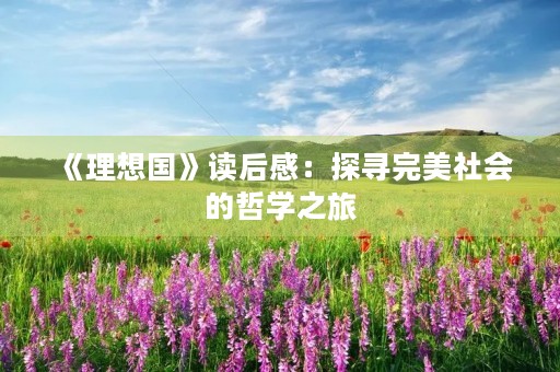 《理想国》读后感：探寻完美社会的哲学之旅