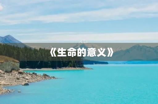 《生命的意义》 《生命的意义》