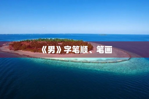 《男》字笔顺、笔画(男的笔顺) 《男》字笔顺、笔画(男的笔顺)