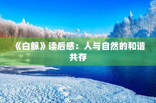 《白鲸》读后感：人与自然的和谐共存