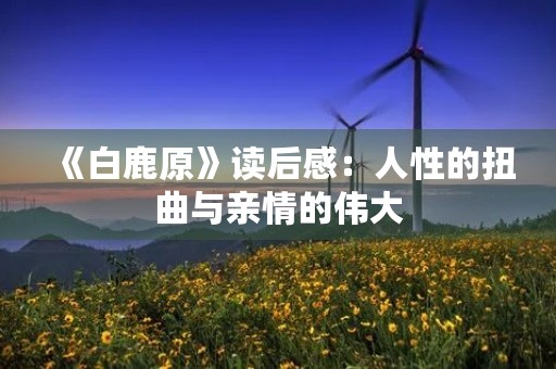 《白鹿原》读后感：人性的扭曲与亲情的伟大