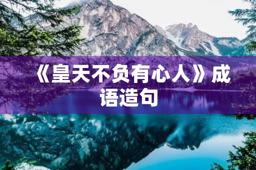 《皇天不负有心人》成语造句