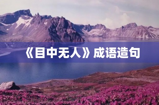《目中无人》成语造句 《目中无人》成语造句
