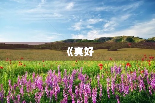 《真好(原耽)》——初三作文 《真好(原耽)》——初三作文