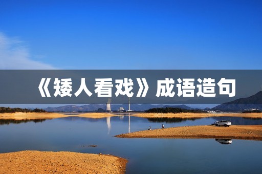 《矮人看戏》成语造句 《矮人看戏》成语造句