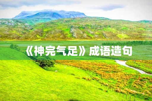 《神完气足》成语造句