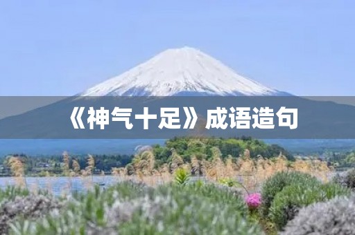 《神气十足》成语造句 《神气十足》成语造句