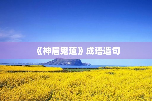《神眉鬼道》成语造句