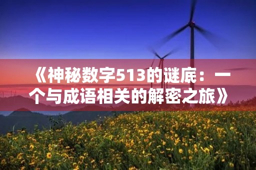 《神秘数字513的谜底:一个与成语相关的解密之旅》 《神秘数字513的谜底:一个与成语相关的解密之旅》
