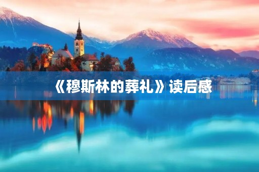 《***的葬礼》读后感
