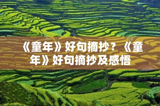 《童年》好句摘抄?《童年》好句摘抄及感悟 《童年》好句摘抄?《童年》好句摘抄及感悟