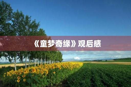 《童梦奇缘》观后感 《童梦奇缘》观后感