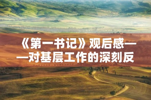 《第一书记》观后感——对基层工作的深刻反思
