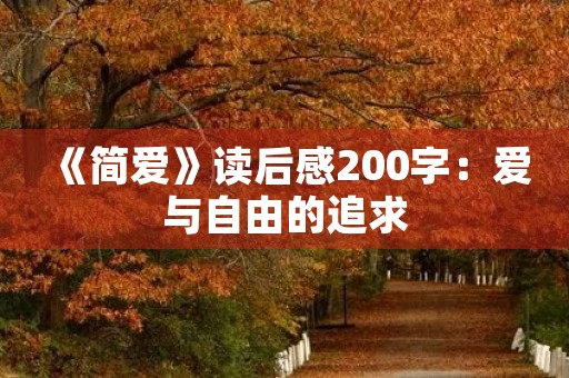 《简爱》读后感200字：爱与自由的追求