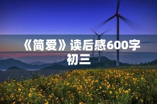 《简爱》读后感600字初三