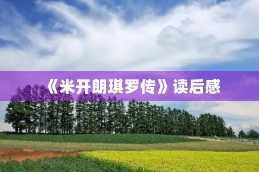《米开朗琪罗传》读后感