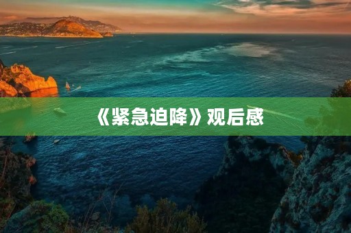 《紧急迫降》观后感