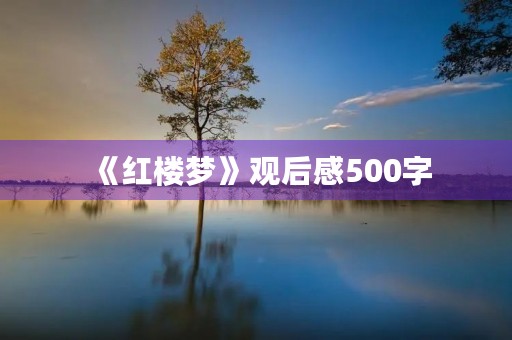 《红楼梦》观后感500字