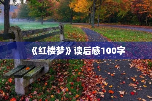 《红楼梦》读后感100字
