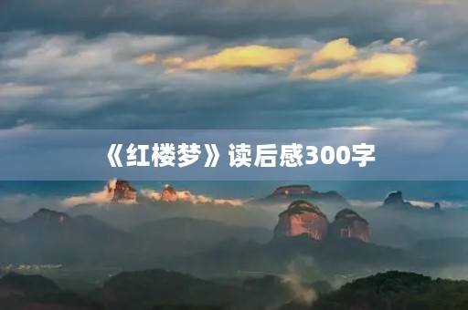 《红楼梦》读后感300字