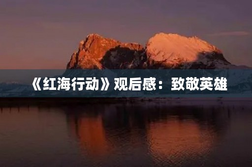 《红海行动》观后感：致敬英雄，爱国情怀永不熄灭