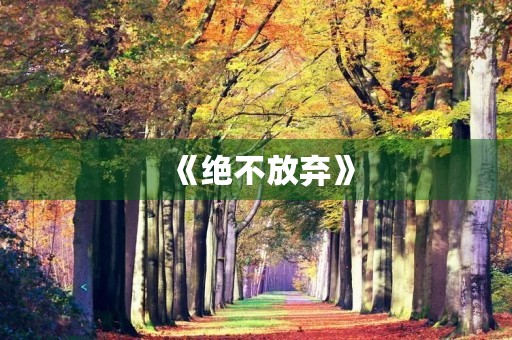 《绝不放弃》 《绝不放弃》