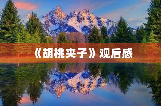 《胡桃夹子》观后感