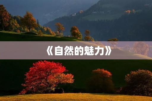 《自然的魅力》 《自然的魅力》