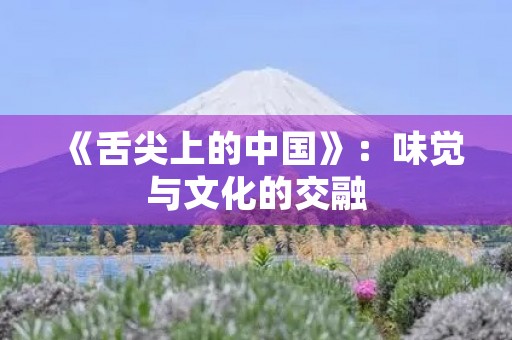 《舌尖上的中国》:味觉与文化的交融 《舌尖上的中国》:味觉与文化的交融