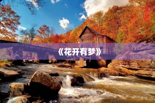 《花开有梦》