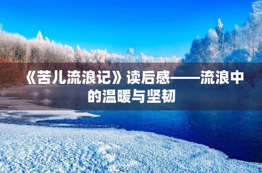 《苦儿流浪记》读后感——流浪中的温暖与坚韧 《苦儿流浪记》读后感——流浪中的温暖与坚韧