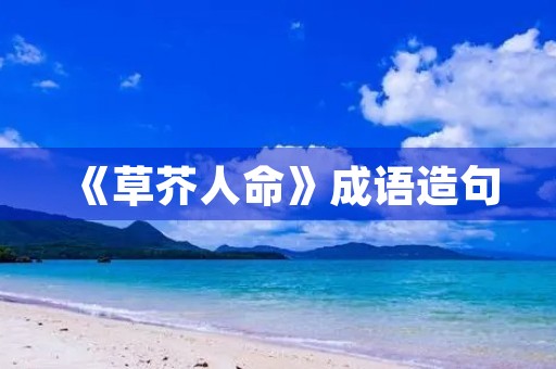 《草芥人命》成语造句 《草芥人命》成语造句