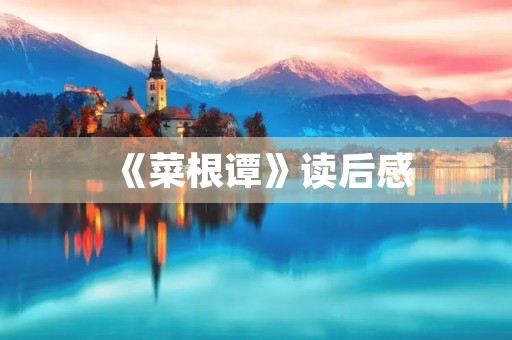 《菜根谭》读后感