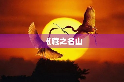 《藏之名山，传之其人》 —— 一位高中生的奋斗之路