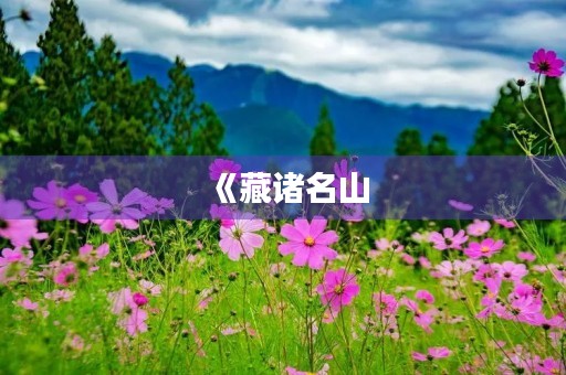 《藏诸名山，传之其人》成语造句