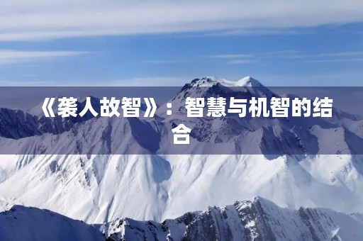 《袭人故智》:智慧与机智的结合 《袭人故智》:智慧与机智的结合