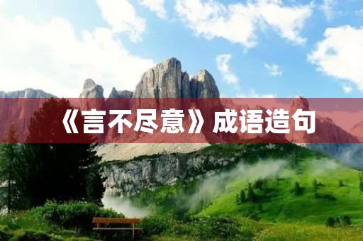 《言不尽意》成语造句 《言不尽意》成语造句