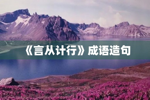 《言从计行》成语造句 《言从计行》成语造句