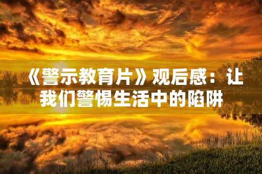 《警示教育片》观后感：让我们警惕生活中的陷阱