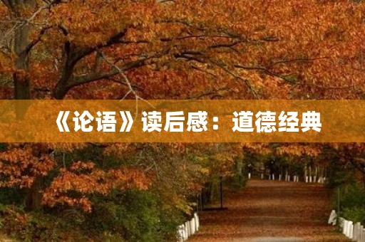 《论语》读后感：道德经典，智慧启迪