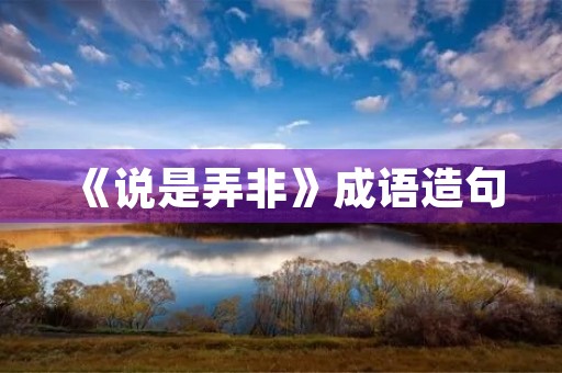 《说是弄非》成语造句 《说是弄非》成语造句