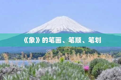 《象》的笔画、笔顺、笔划(象的笔画顺序) 《象》的笔画、笔顺、笔划(象的笔画顺序)