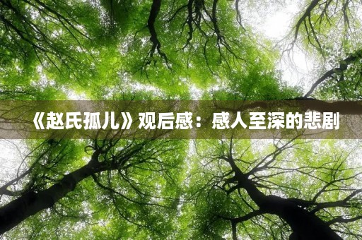 《赵氏孤儿》观后感:感人至深的悲剧 《赵氏孤儿》观后感:感人至深的悲剧