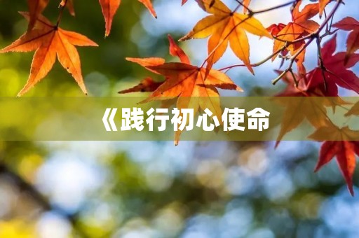 《践行初心使命，成就新时代》——党员年度个人总结